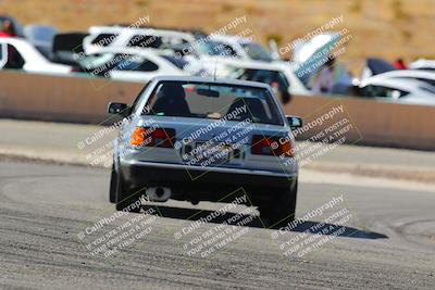 media/Feb-22-2025-Team Topak Racing (Sat) [[cb57a51a40]]/86 Party Brigade/Turns 13 and 14/